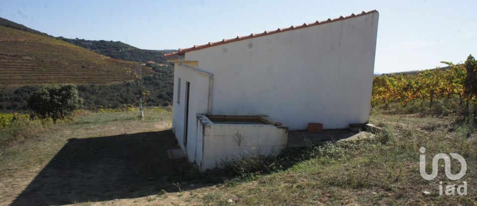 Farm T0 in Horta of 584,006 m²