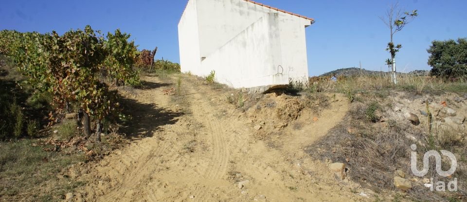 Farm T0 in Horta of 584,006 m²