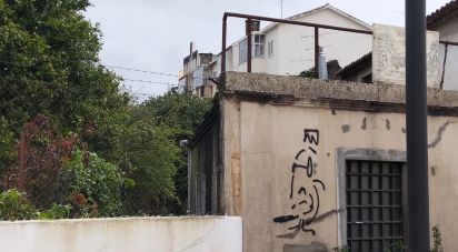 Terrain à bâtir à Torres Novas (Santa Maria, Salvador e Santiago) de 433 m²