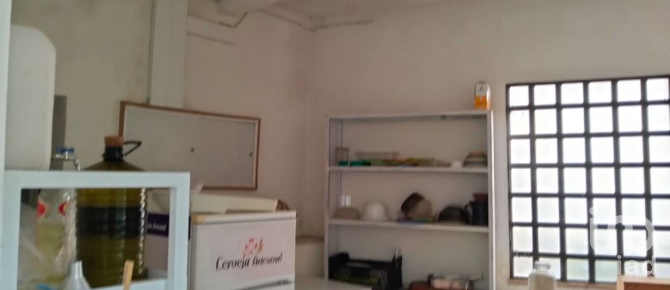 Terrain à bâtir à Torres Novas (Santa Maria, Salvador e Santiago) de 433 m²