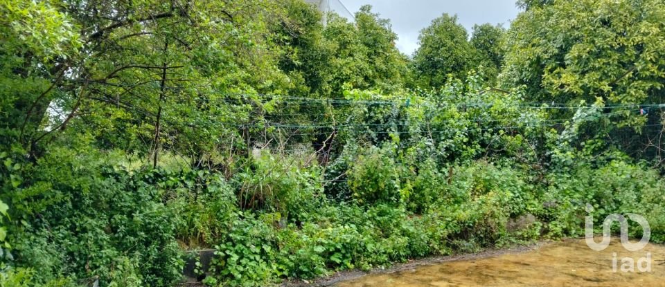 Terrain à bâtir à Torres Novas (Santa Maria, Salvador e Santiago) de 433 m²