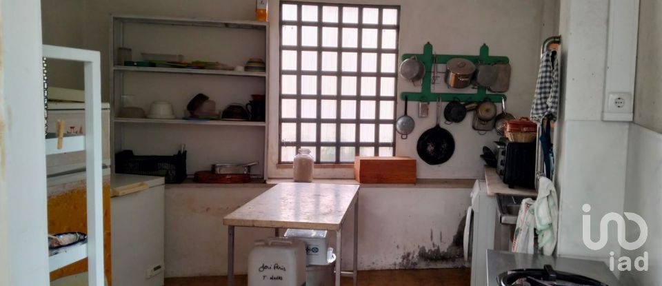 Terrain à bâtir à Torres Novas (Santa Maria, Salvador e Santiago) de 433 m²