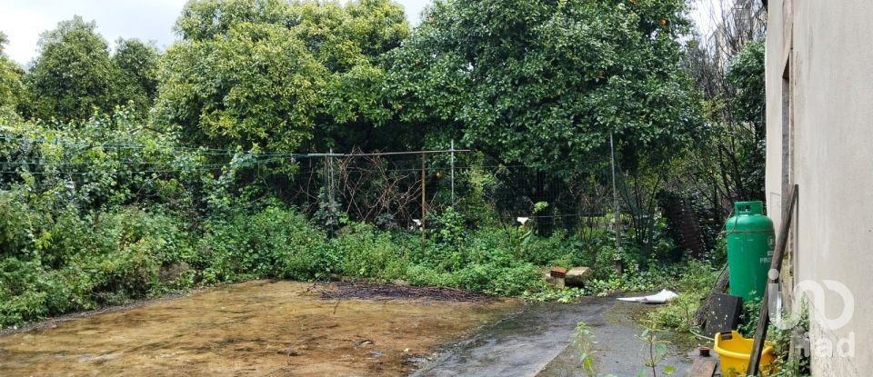 Terrain à bâtir à Torres Novas (Santa Maria, Salvador e Santiago) de 433 m²