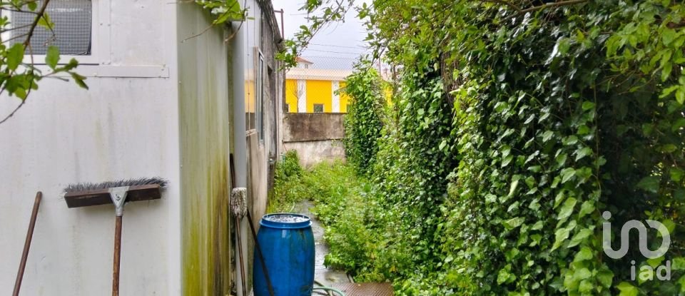 Terrain à bâtir à Torres Novas (Santa Maria, Salvador e Santiago) de 433 m²