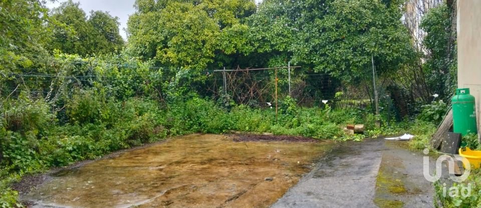 Terrain à bâtir à Torres Novas (Santa Maria, Salvador e Santiago) de 433 m²