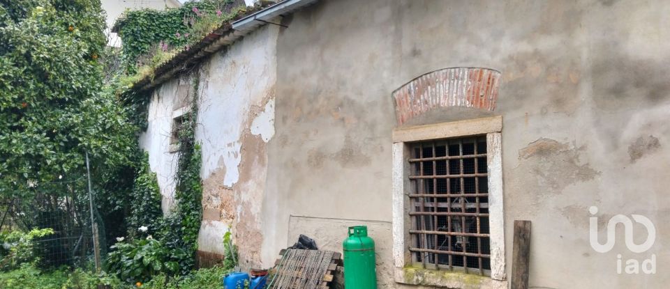 Terrain à bâtir à Torres Novas (Santa Maria, Salvador e Santiago) de 433 m²