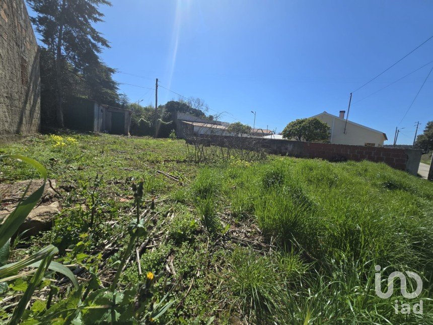 Building plot in Lamas e Cercal of 243 m²