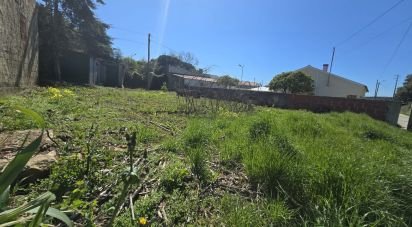 Terrain à bâtir à Lamas e Cercal de 243 m²