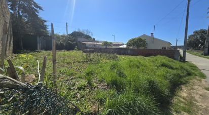 Building plot in Lamas e Cercal of 243 m²