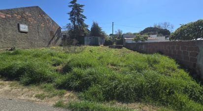 Building plot in Lamas e Cercal of 243 m²