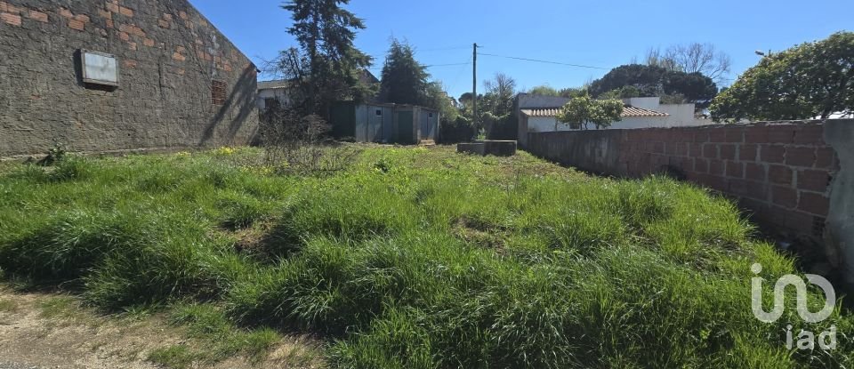 Building plot in Lamas e Cercal of 243 m²
