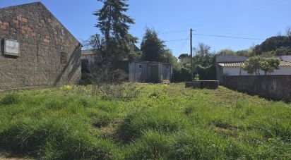 Building plot in Lamas e Cercal of 243 m²