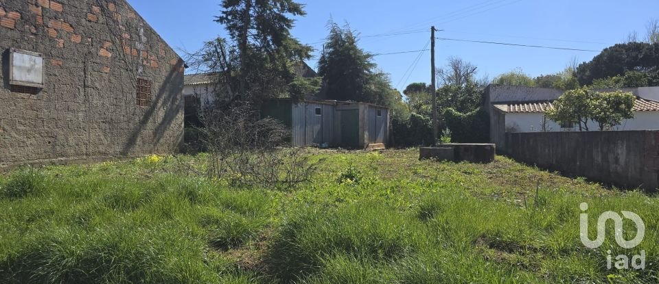 Building plot in Lamas e Cercal of 243 m²
