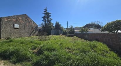 Building plot in Lamas e Cercal of 243 m²