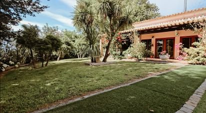 Country home T4 in Gouveia of 387 m²