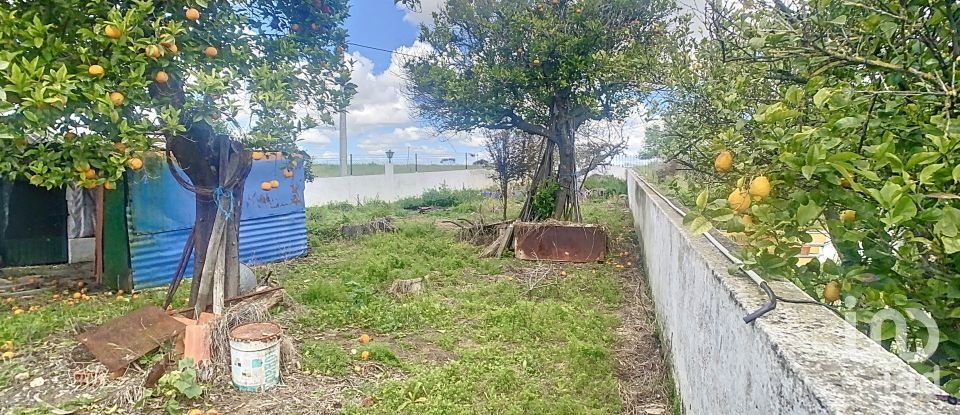 Farm T2 in Bencatel of 130 m²