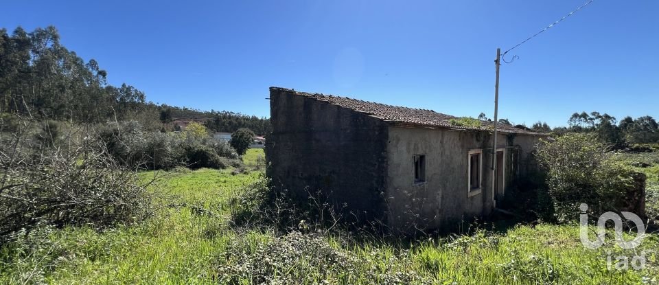 Casa de aldeia T1 em Aguda de 46 m²