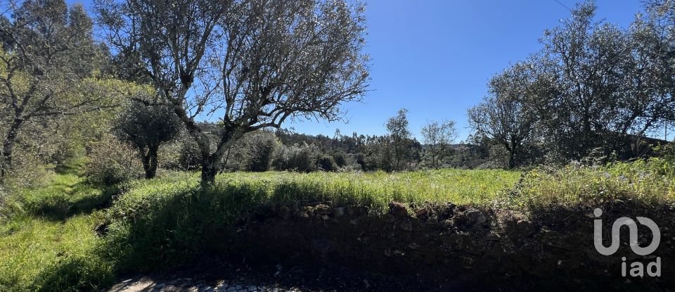 Casa de aldeia T1 em Aguda de 46 m²