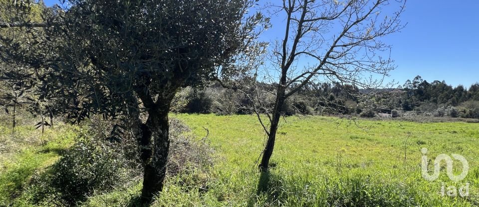 Casa de aldeia T1 em Aguda de 46 m²