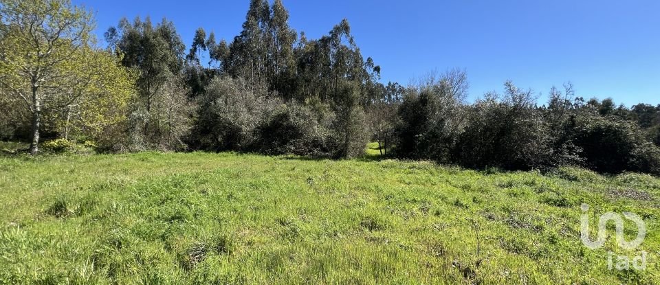 Casa de aldeia T1 em Aguda de 46 m²