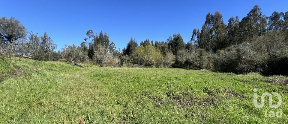 Casa de aldeia T1 em Aguda de 46 m²