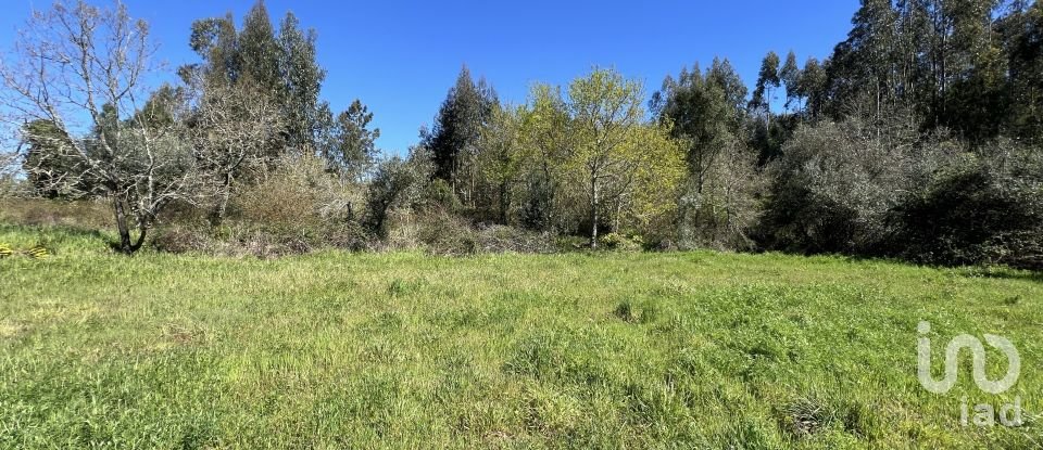 Casa de aldeia T1 em Aguda de 46 m²