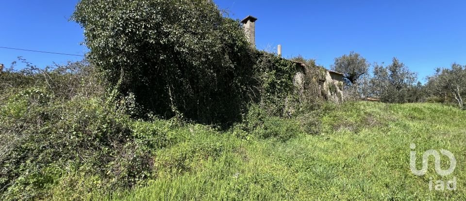 Casa de aldeia T1 em Aguda de 46 m²