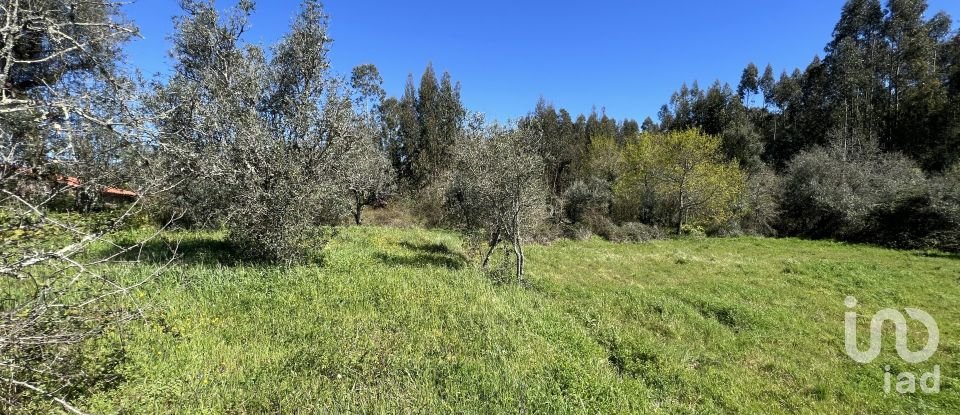 Casa de aldeia T1 em Aguda de 46 m²