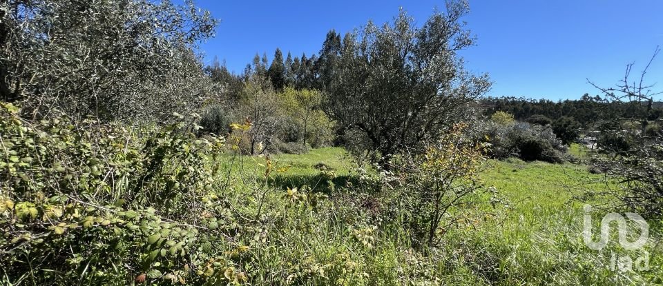 Casa de aldeia T1 em Aguda de 46 m²