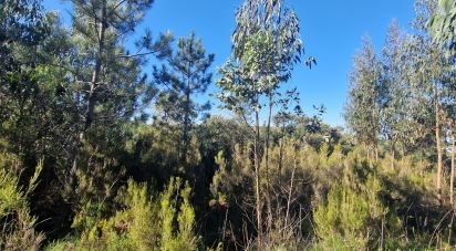 Terrain à Venda do Pinheiro e Santo Estêvão das Galés de 15 373 m²