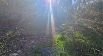 Terrain à Venda do Pinheiro e Santo Estêvão das Galés de 15 373 m²