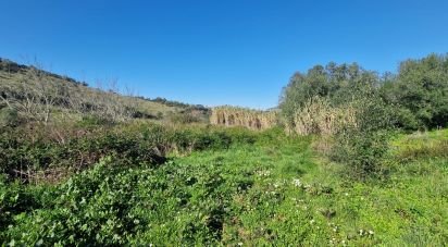 Terrain à Venda do Pinheiro e Santo Estêvão das Galés de 15 373 m²
