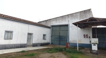 Pavilion T0 in Espírito Santo of 315 m²