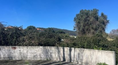 Land in Viana do Castelo (Santa Maria Maior e Monserrate) e Meadela of 1,186 m²