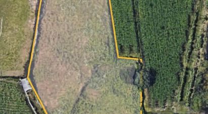 Land in Viana do Castelo (Santa Maria Maior e Monserrate) e Meadela of 1,186 m²