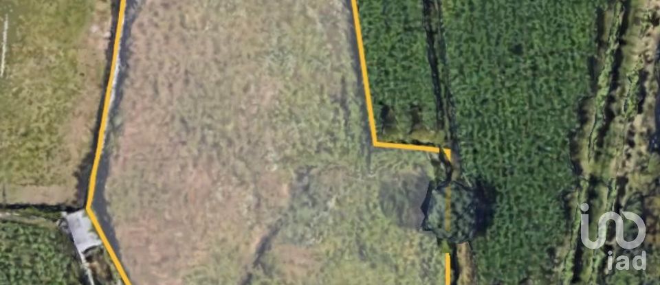 Terrain à Viana do Castelo (Santa Maria Maior e Monserrate) e Meadela de 1 186 m²