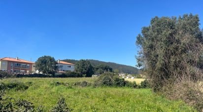 Land in Viana do Castelo (Santa Maria Maior e Monserrate) e Meadela of 1,186 m²