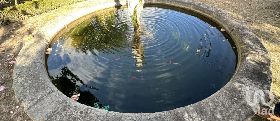 Maison T0 à Moimenta da Serra e Vinhó de 360 m²