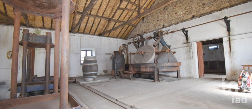 Comércio diverso em São Miguel, Santa Eufémia e Rabaçal de 470 m²