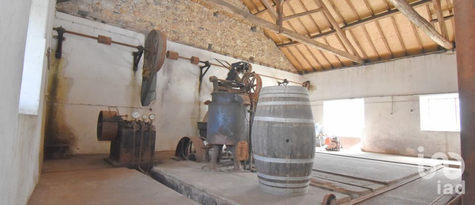 Comércio diverso em São Miguel, Santa Eufémia e Rabaçal de 470 m²