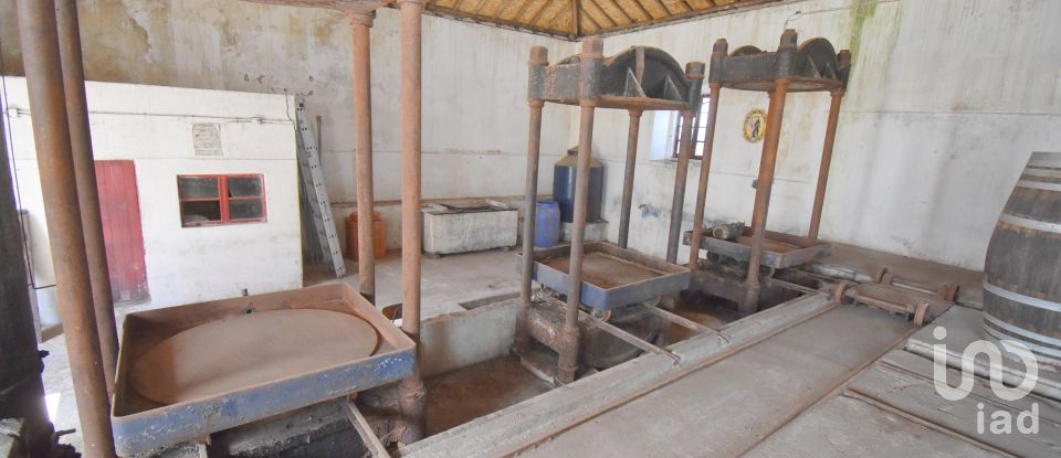 Comércio diverso em São Miguel, Santa Eufémia e Rabaçal de 470 m²