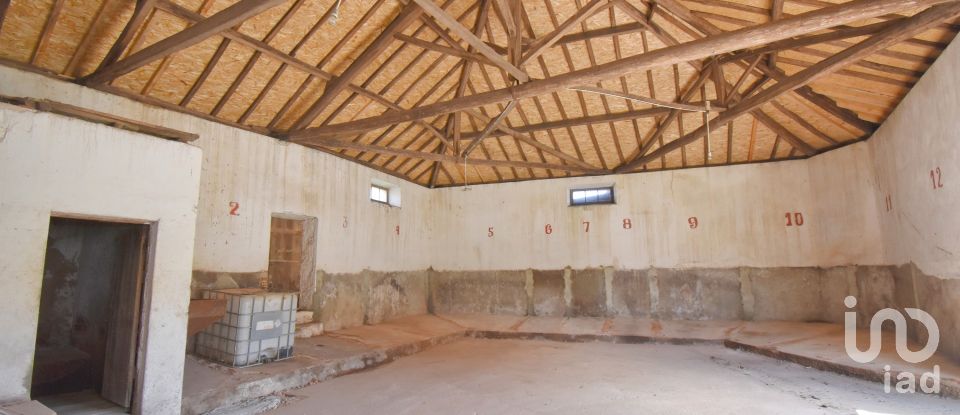 Comércio diverso em São Miguel, Santa Eufémia e Rabaçal de 470 m²