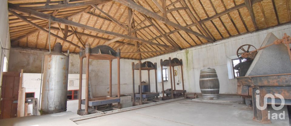 Comércio diverso em São Miguel, Santa Eufémia e Rabaçal de 470 m²