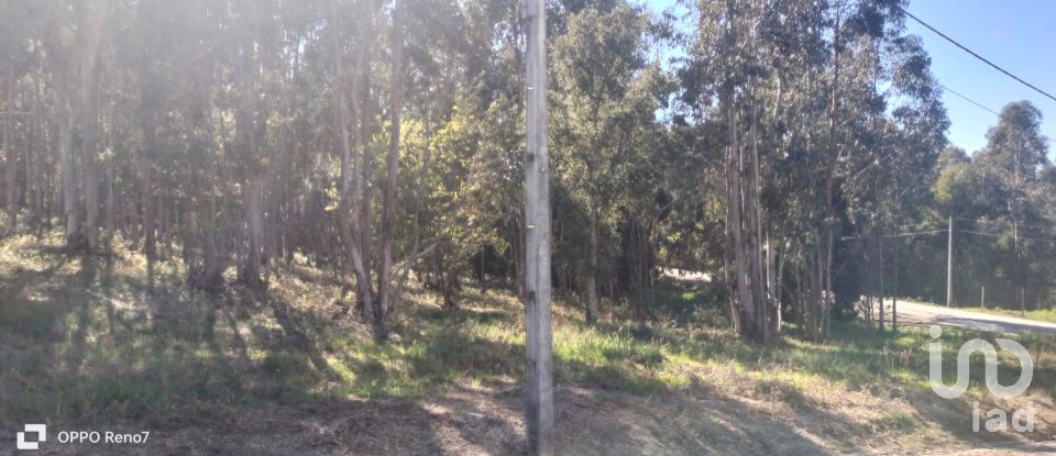 Terreno urbano em Fonte Arcada de 4 368 m²