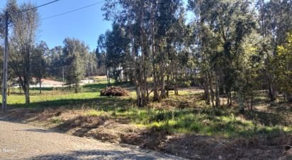 Terrain à bâtir à Fonte Arcada de 4 368 m²