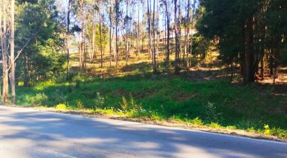 Terrain à bâtir à Fonte Arcada de 4 368 m²