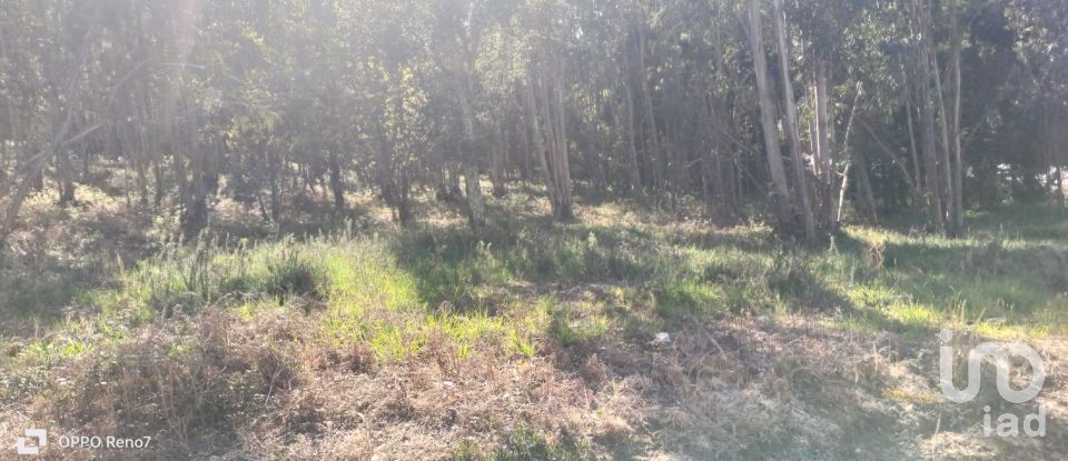 Terreno urbano em Fonte Arcada de 4 368 m²