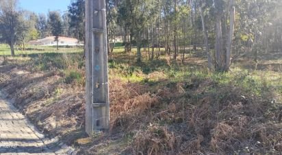 Terrain à bâtir à Fonte Arcada de 4 368 m²