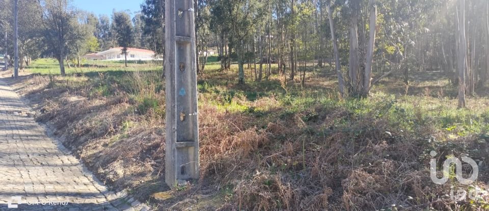 Terreno urbano em Fonte Arcada de 4 368 m²