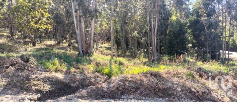 Terreno urbano em Fonte Arcada de 4 368 m²